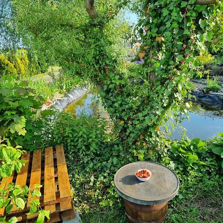 Apartament U Beti オポーレ エクステリア 写真