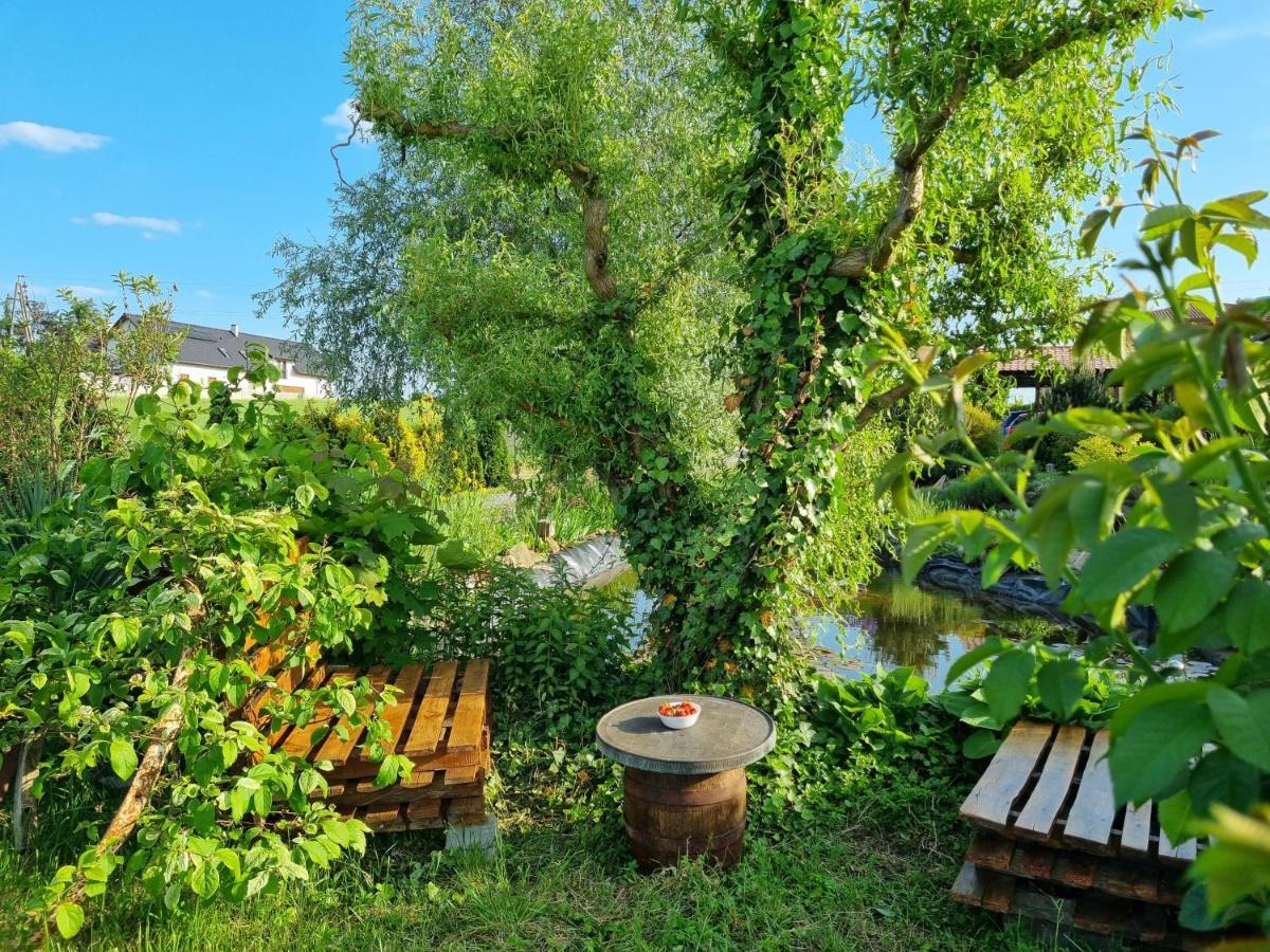 Apartament U Beti オポーレ エクステリア 写真